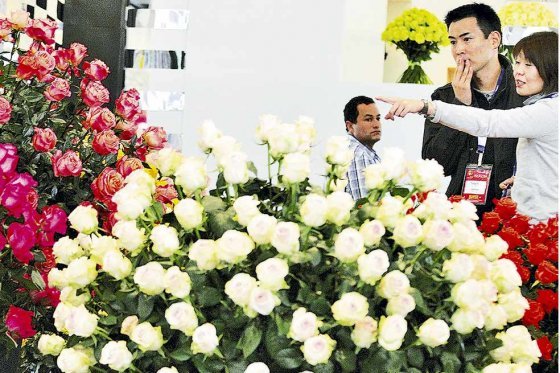 Despegaron primeros aviones con flores colombianas con destino a Estados Unidos
