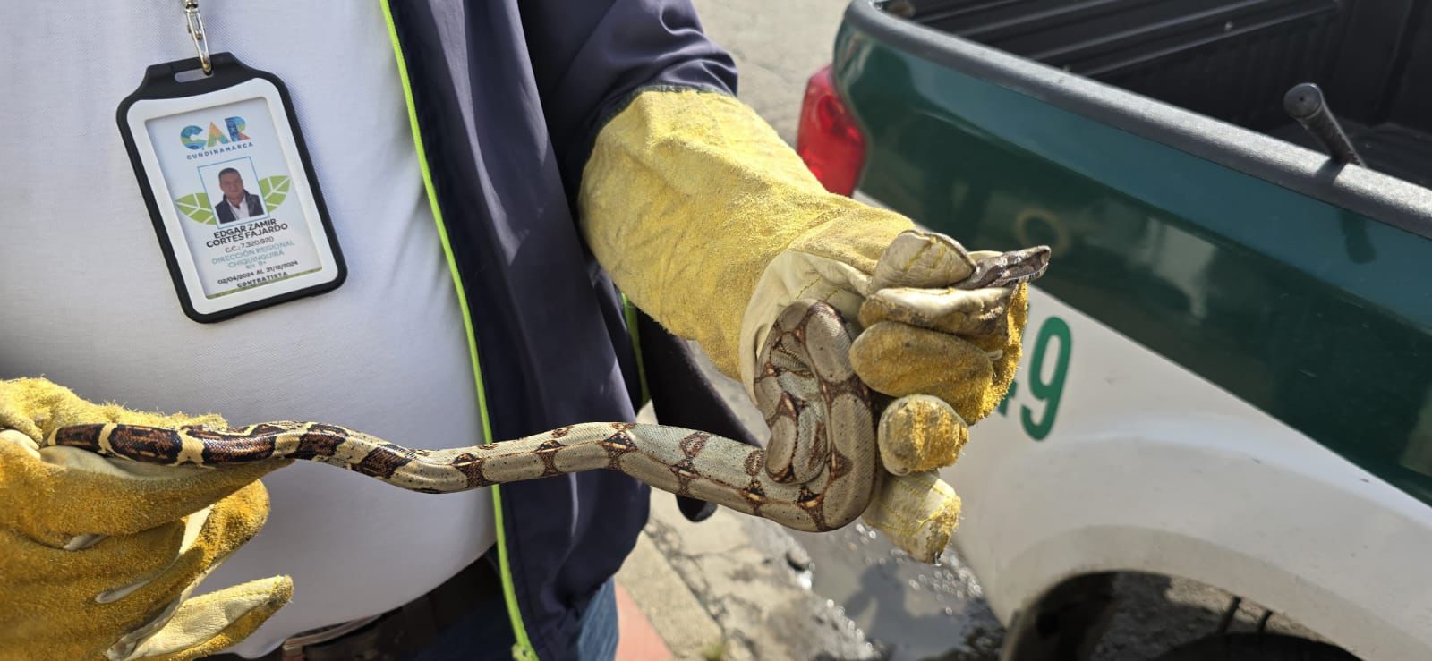 Desde 2020: CAR impone una multa al mes por tráfico de especies silvestres