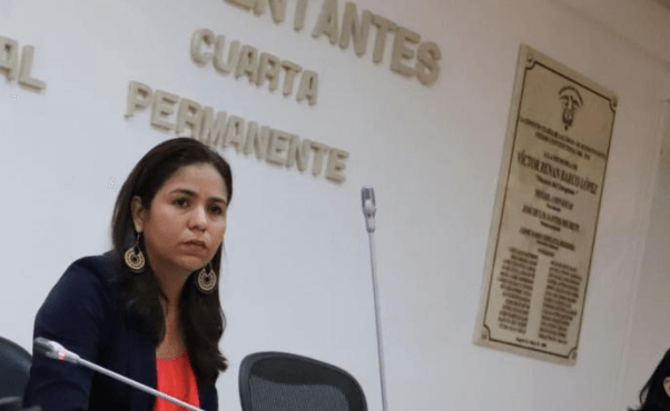 Prohibición de explotación minera no era la esencia del proyecto: Yénica Acosta
