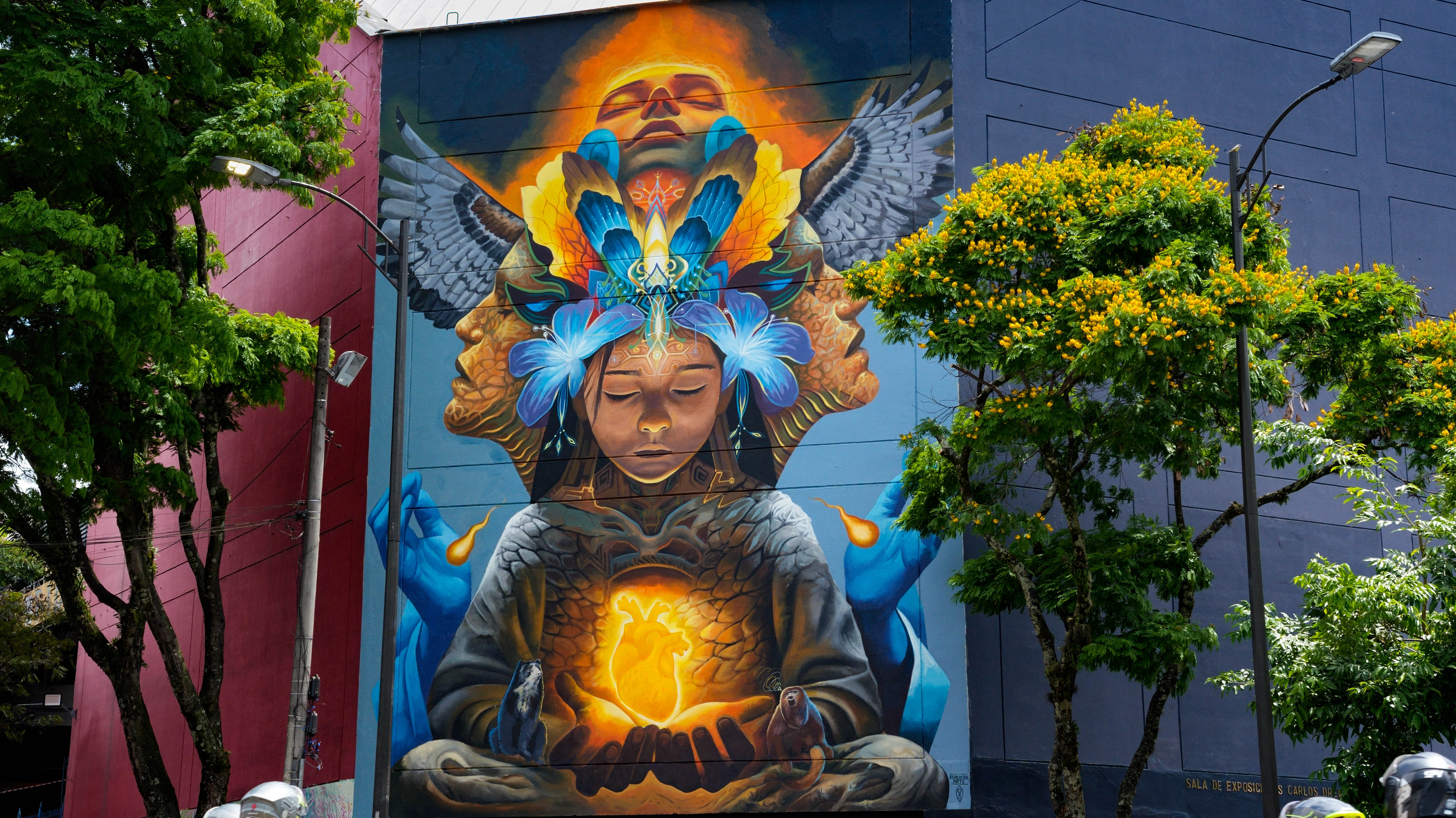 El mejor mural artístico del mundo está en Colombia: así luce la obra ganadora