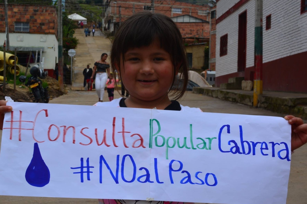 El regreso de las consultas populares