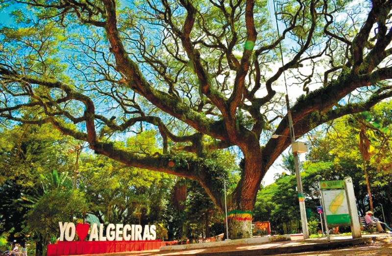 La historia de violencia en Algeciras que parece repetirse