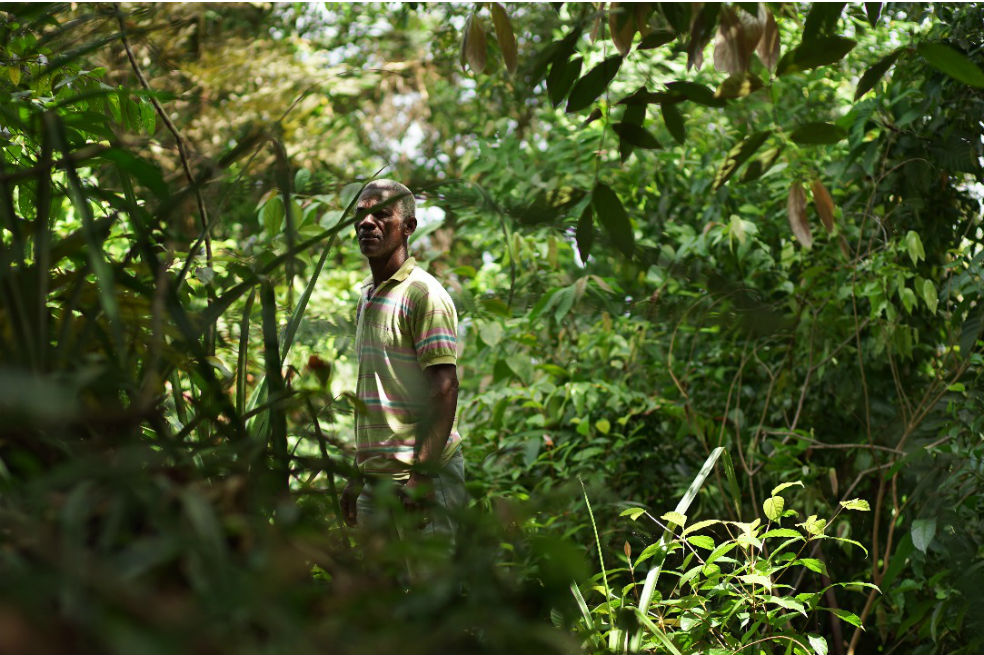 Bojayá quiere aprovechar sosteniblemente un bosque de 6,4 hectáreas