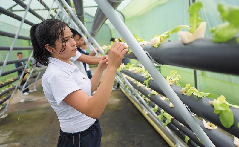 Educación rural en Bogotá, más allá de sumar y restar
