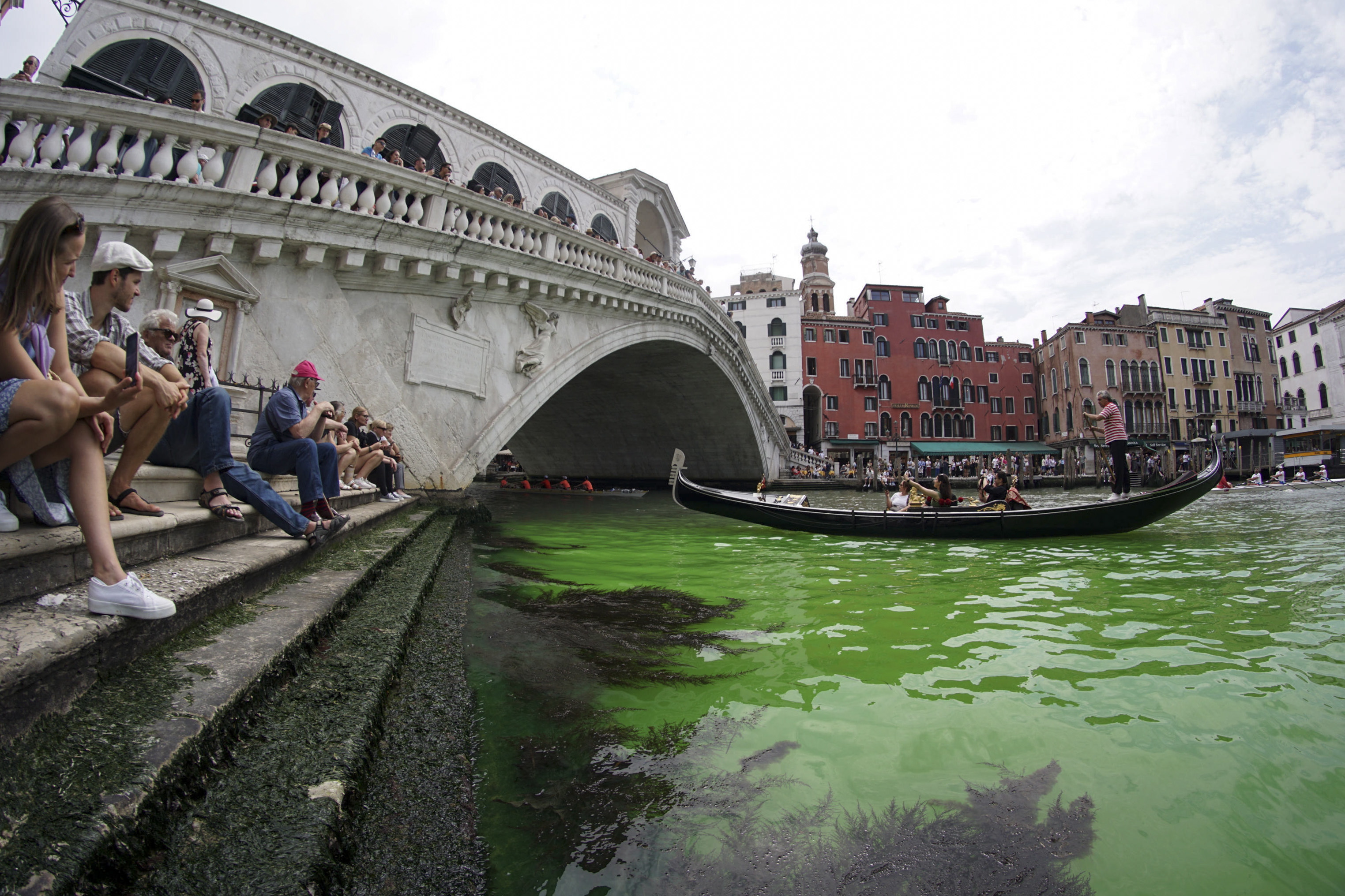 El Gran Canal de Venecia se tiñe de verde fosforescente, ¿de qué se trata?