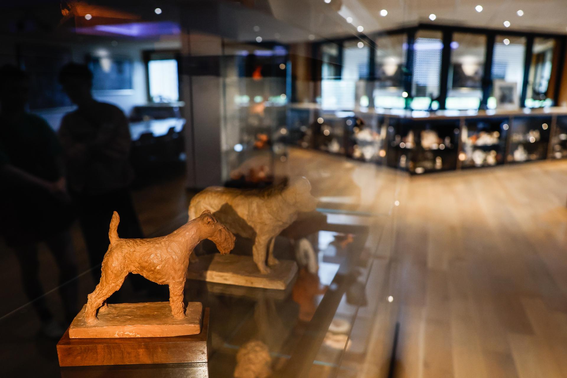 Así es el Museo del Perro en Francia: el segundo más grande del mundo