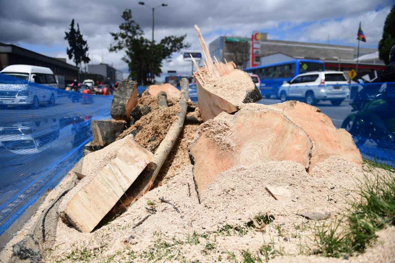 En fotos: comenzó la tala de árboles en la Av. 68 por construcción de la troncal de TM