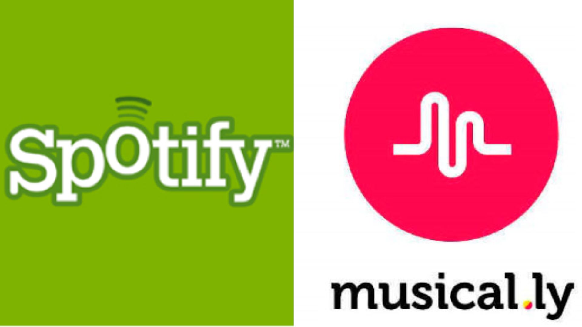 Spotify y TikTok en sus inicios