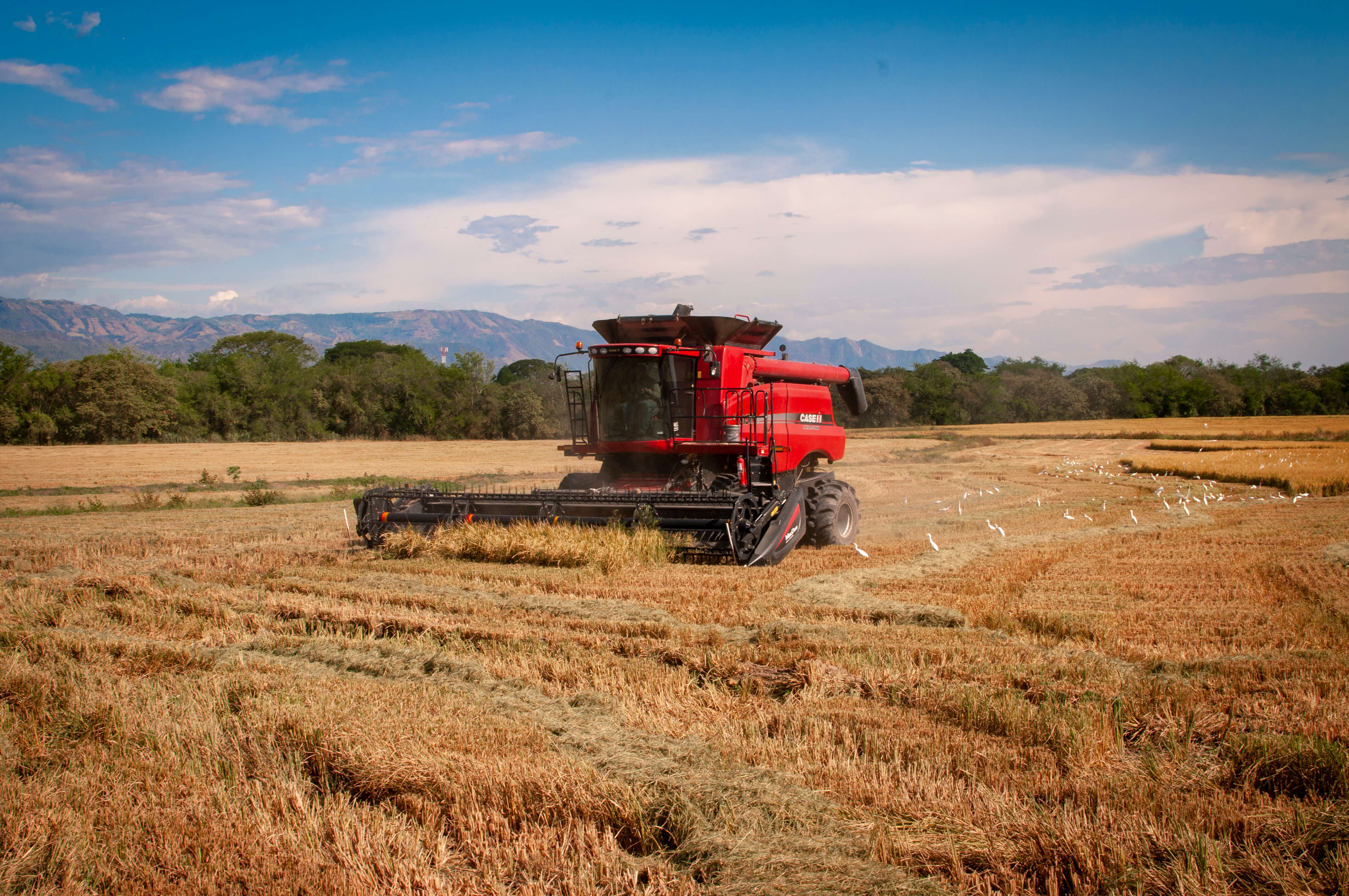 Prepárese para Agroshow, la feria bienal en el Tolima para el desarrollo del agro