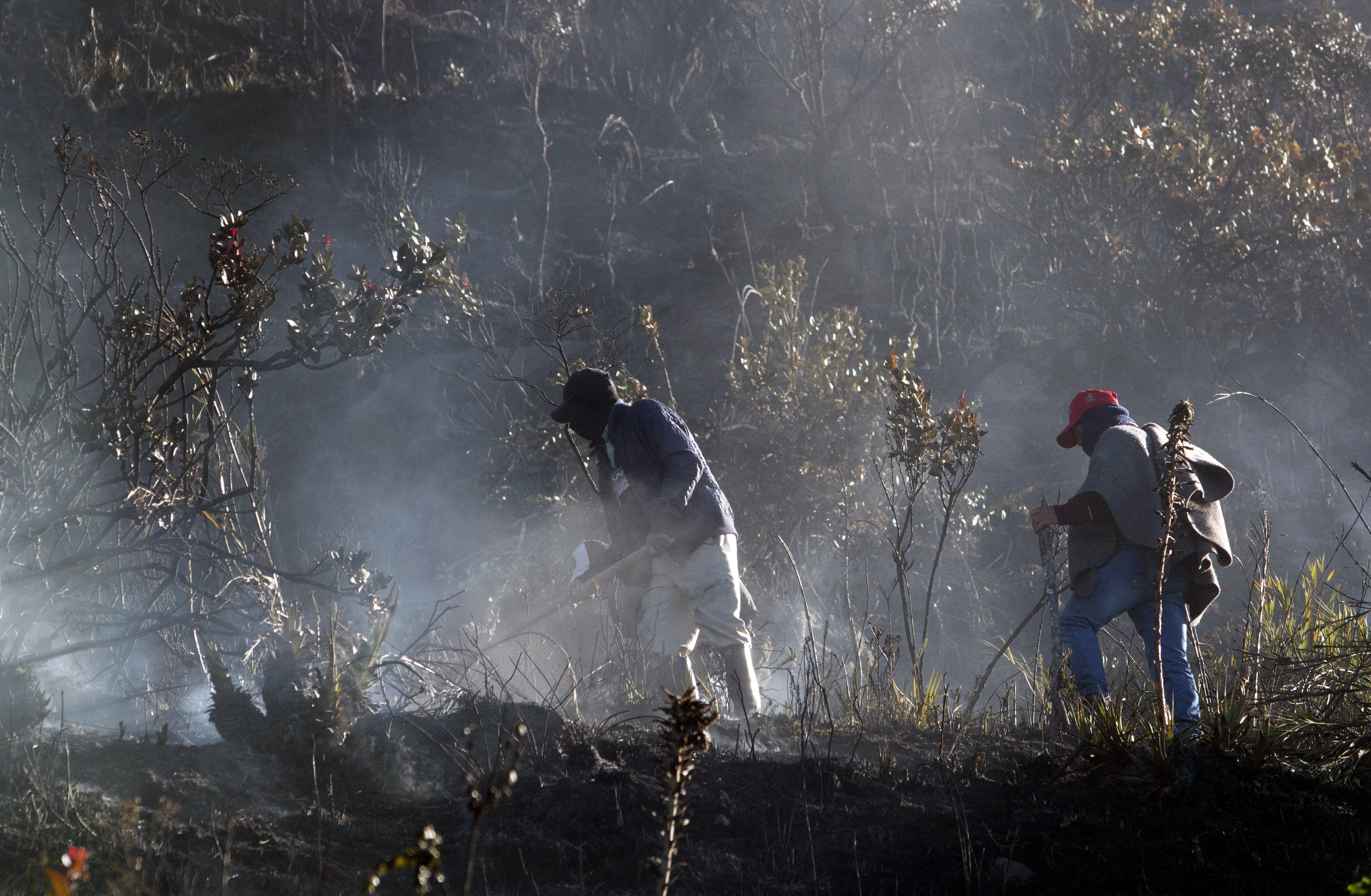 UNGRD presenta programa de brigadas para enfrentar incendios forestales