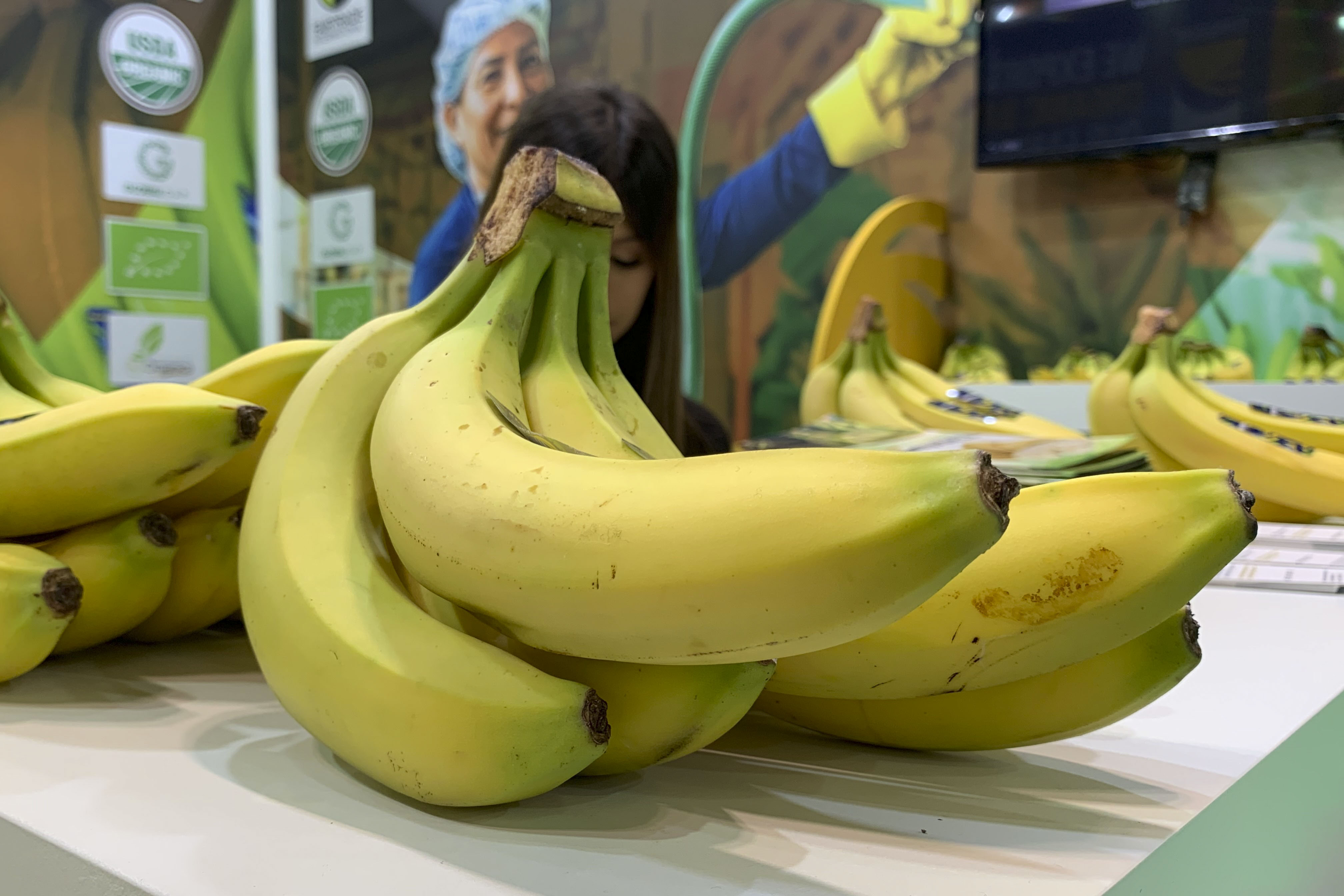 GRAF9550. BOGOTÁ (COLOMBIA), 21/10/2024.- Fotografía del 8 de octubre de 2024 de bananas de Ecuador en la feria Fruit Attraction 2024, en IFEMA, Madrid (España). Ecuador, primer exportador mundial de banano, congregará desde este miércoles a representantes del sector bananero de varios países de Latinoamérica en la vigésimo primera edición del 'Banana Time', donde abordarán retos como los bajos precios en Europa, la seguridad logística, las amenazas fitosanitarias y la situación y regulaciones de los principales mercados de destino. EFE/ Patricia Cotelo Bertaiola
