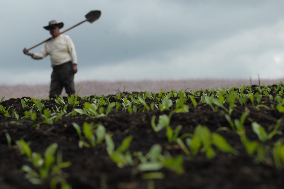 Agencia Nacional de Tierras no comprará predios “invadidos u hostigados”