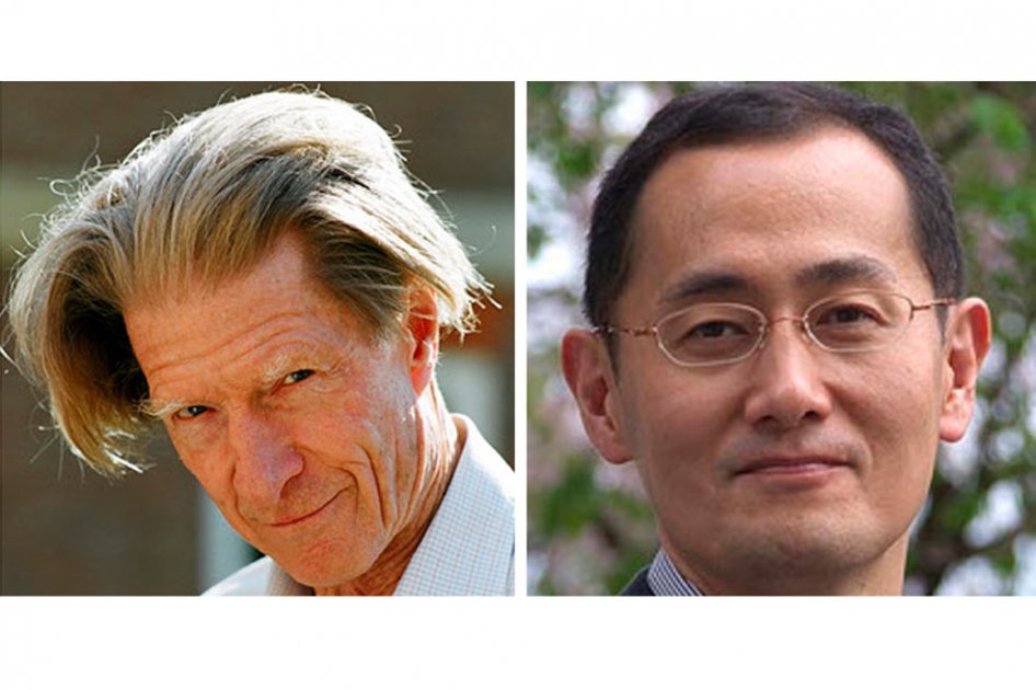 Premio Nobel de Medicina para un japonés y un británico