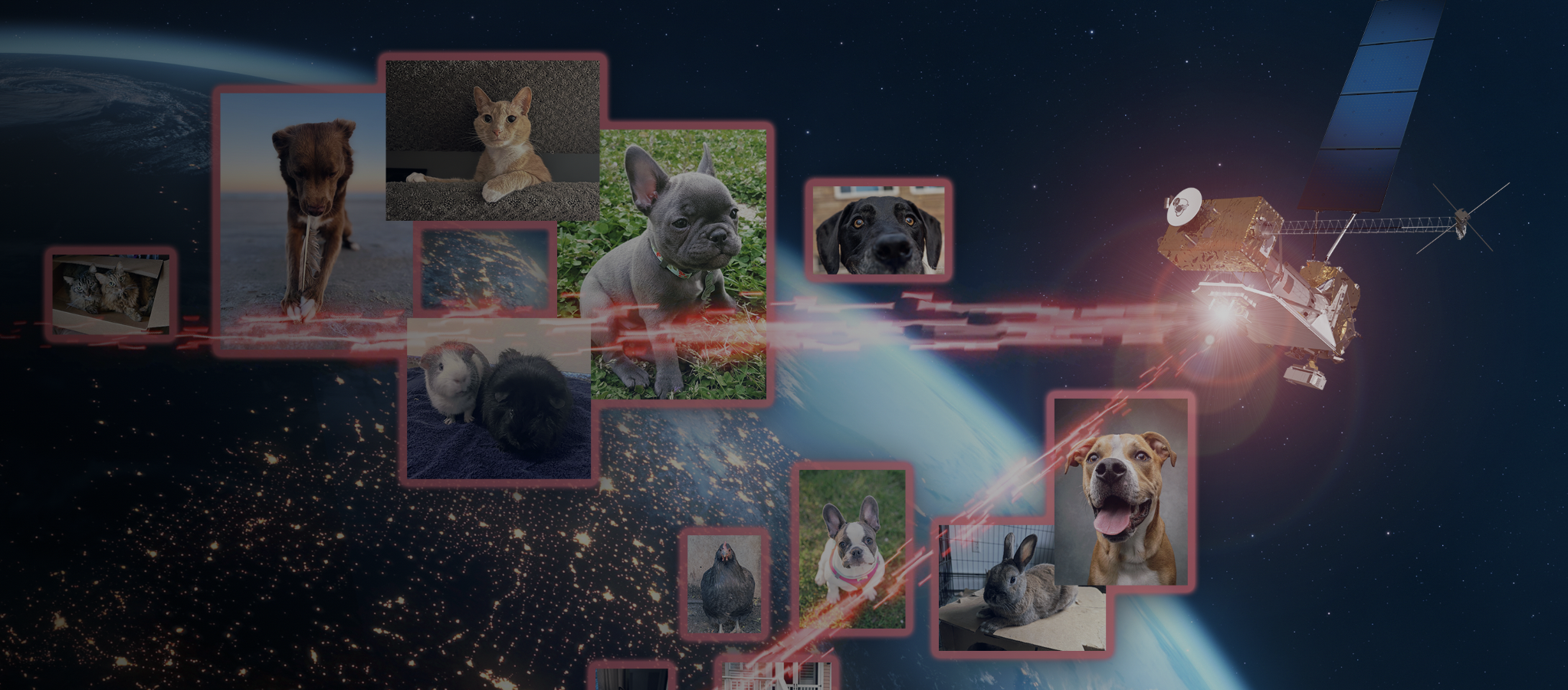 Compartiendo fotos de mascotas: NASA probó nueva tecnología láser en comunicaciones