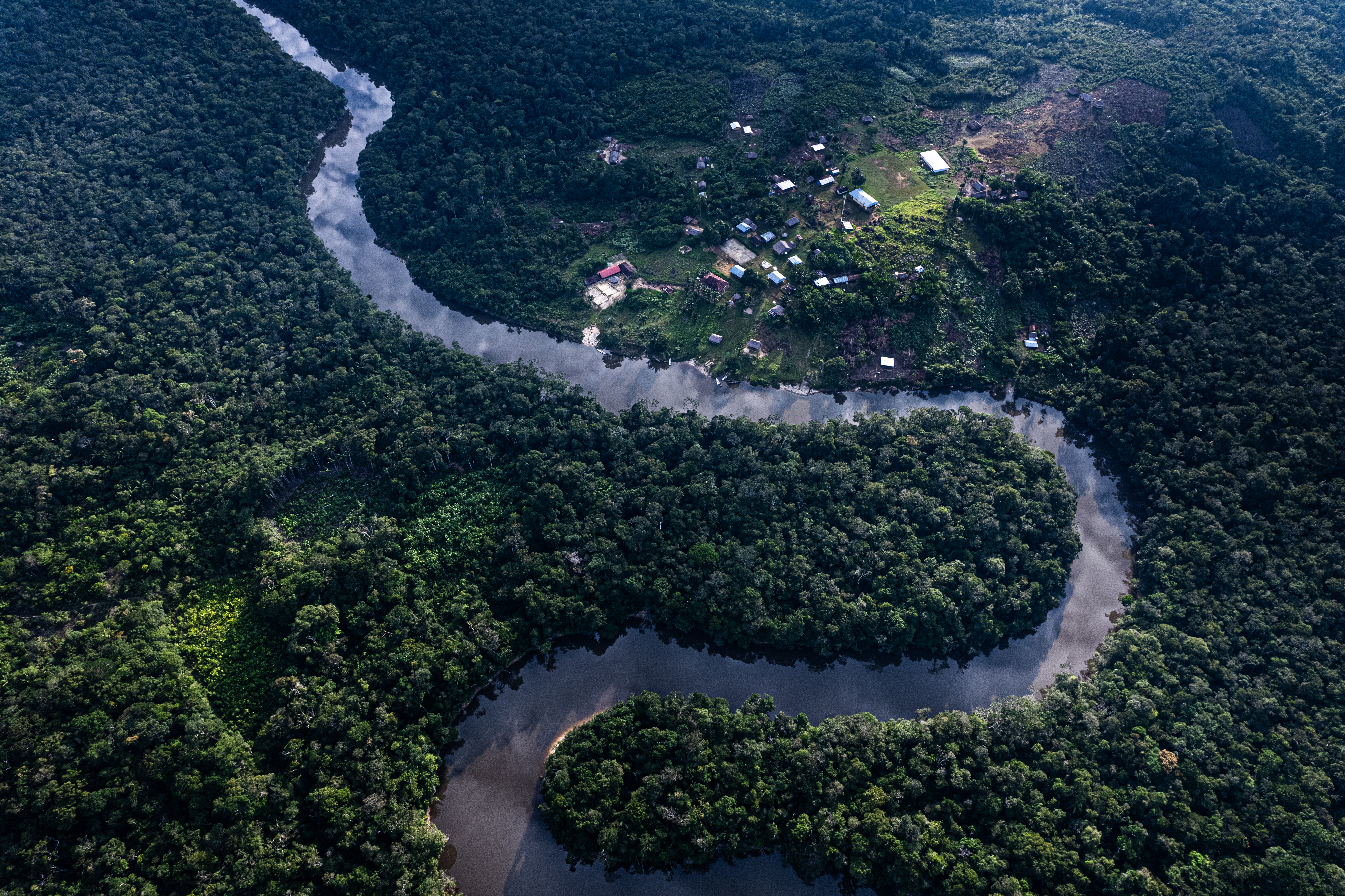 El concepto de diversidad biocultural propone pensar un sistema donde lo biológico y lo cultural se pongan al mismo nivel, donde la cultura, las comunidades y la naturaleza interactúan permitiendo la evolución mutua. /Felipe Rodríguez