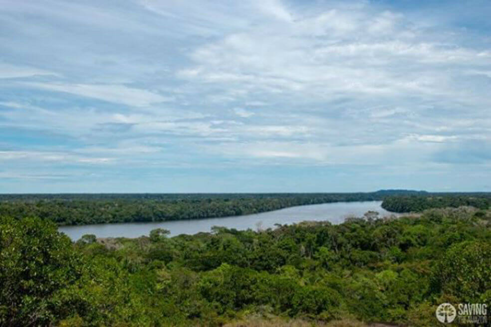 Empresas colombianas se unen para restaurar el Amazonas