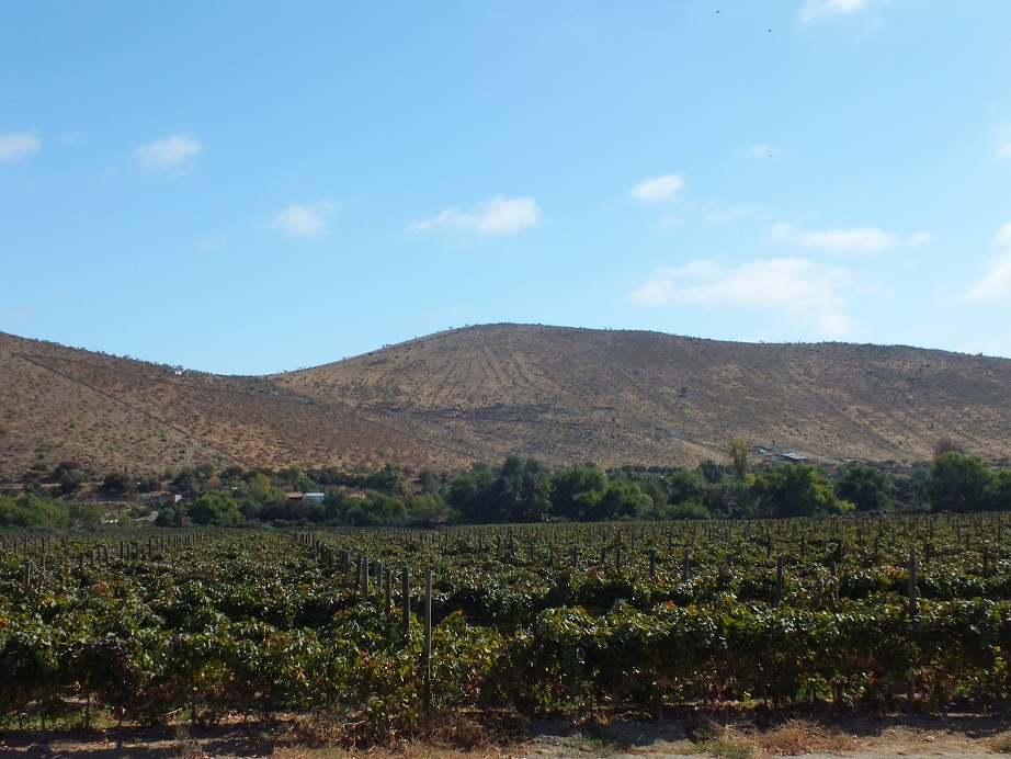 Norte Chile Coquimbo