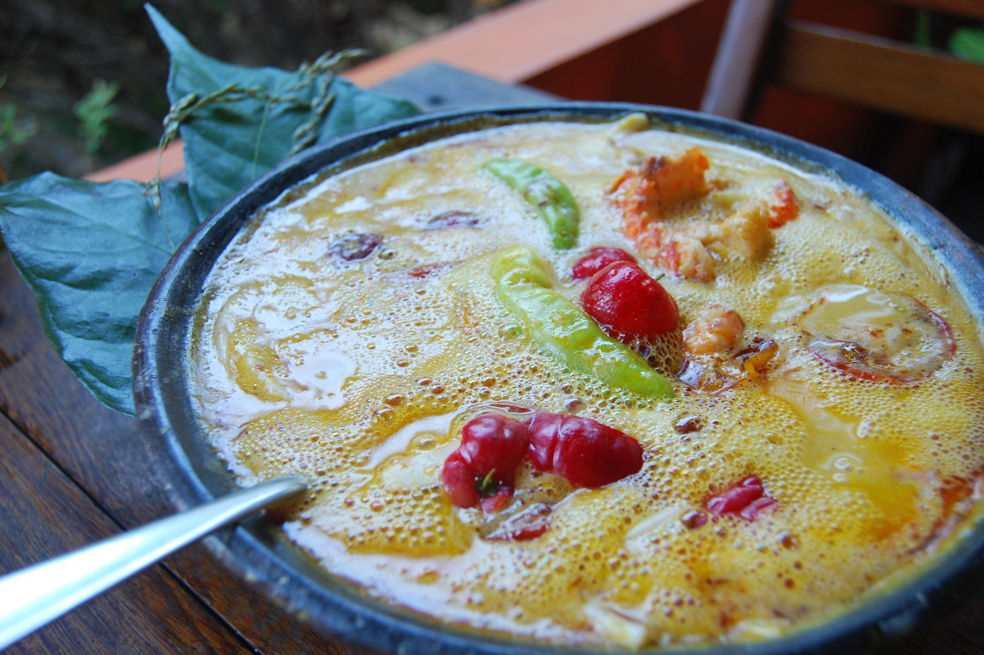 Delicias gastronómicas del nordeste del Brasil