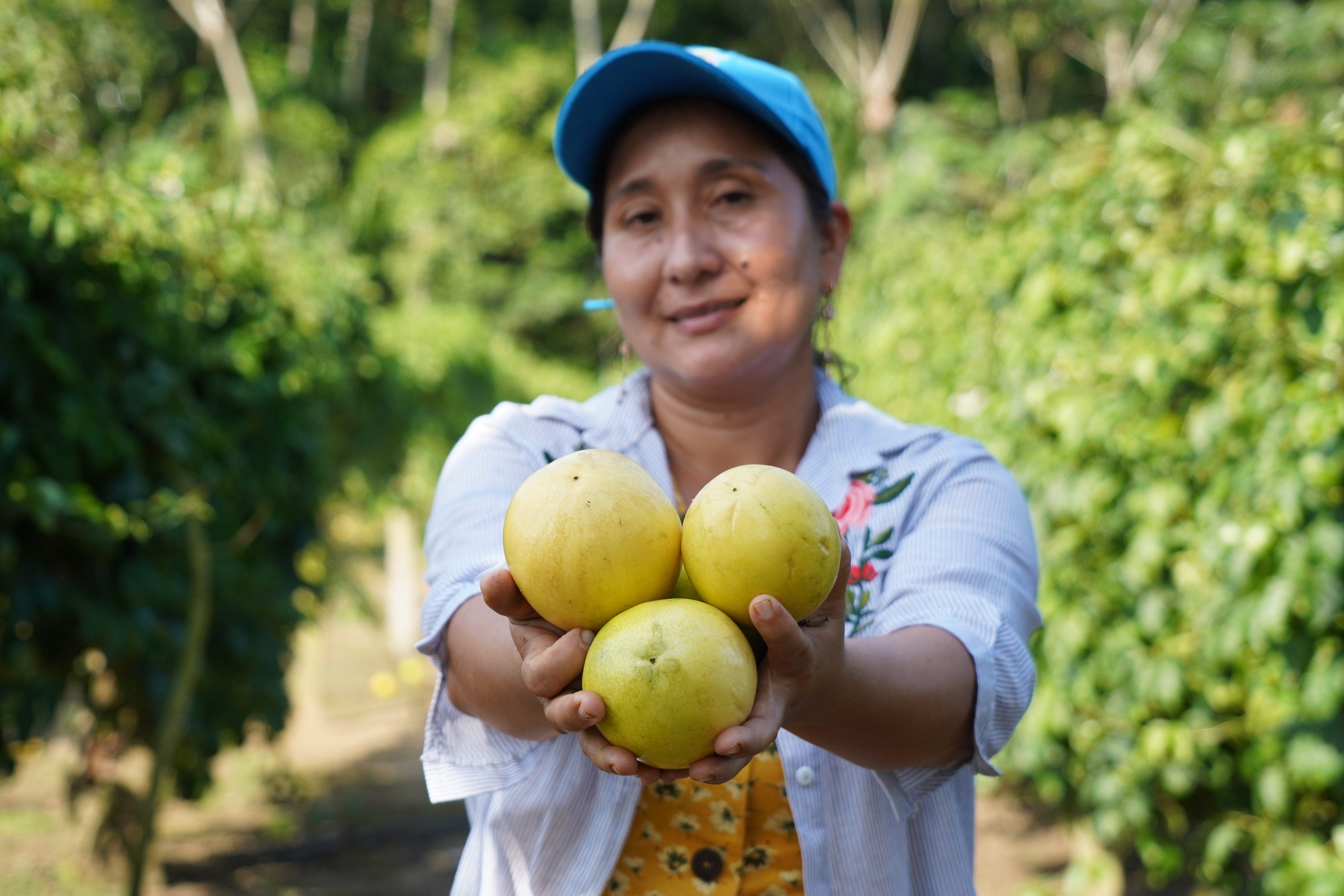 Las mujeres excocaleras del Guaviare que ahora organizan mercados campesinos