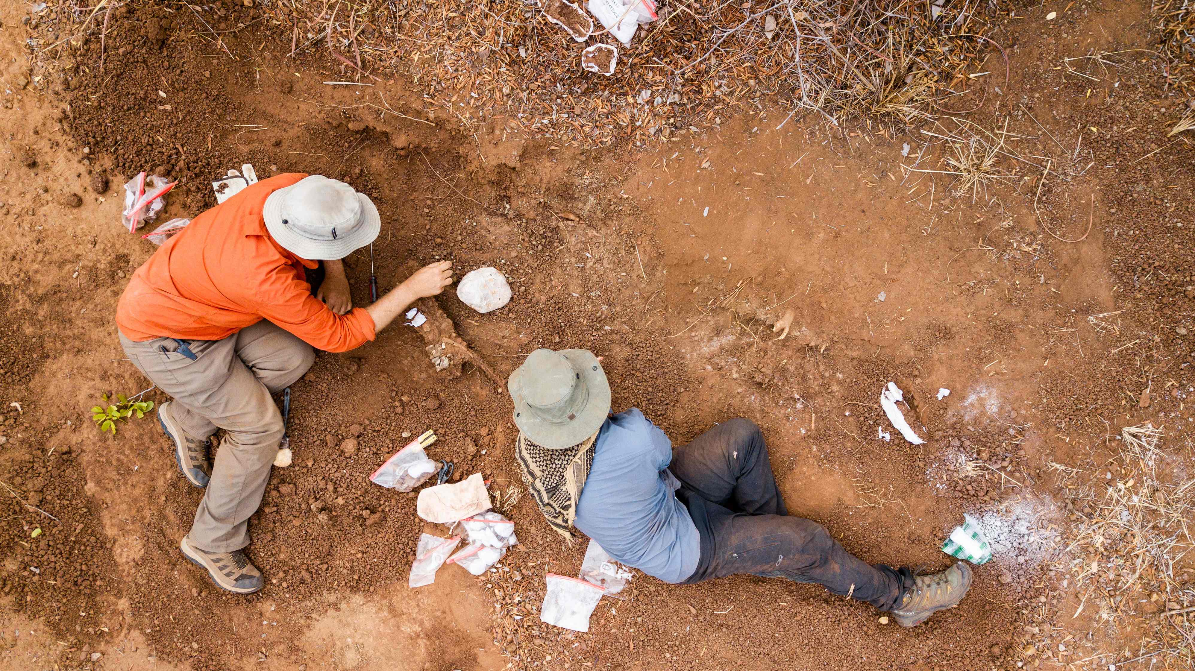 Descubren el dinosaurio más antiguo de África