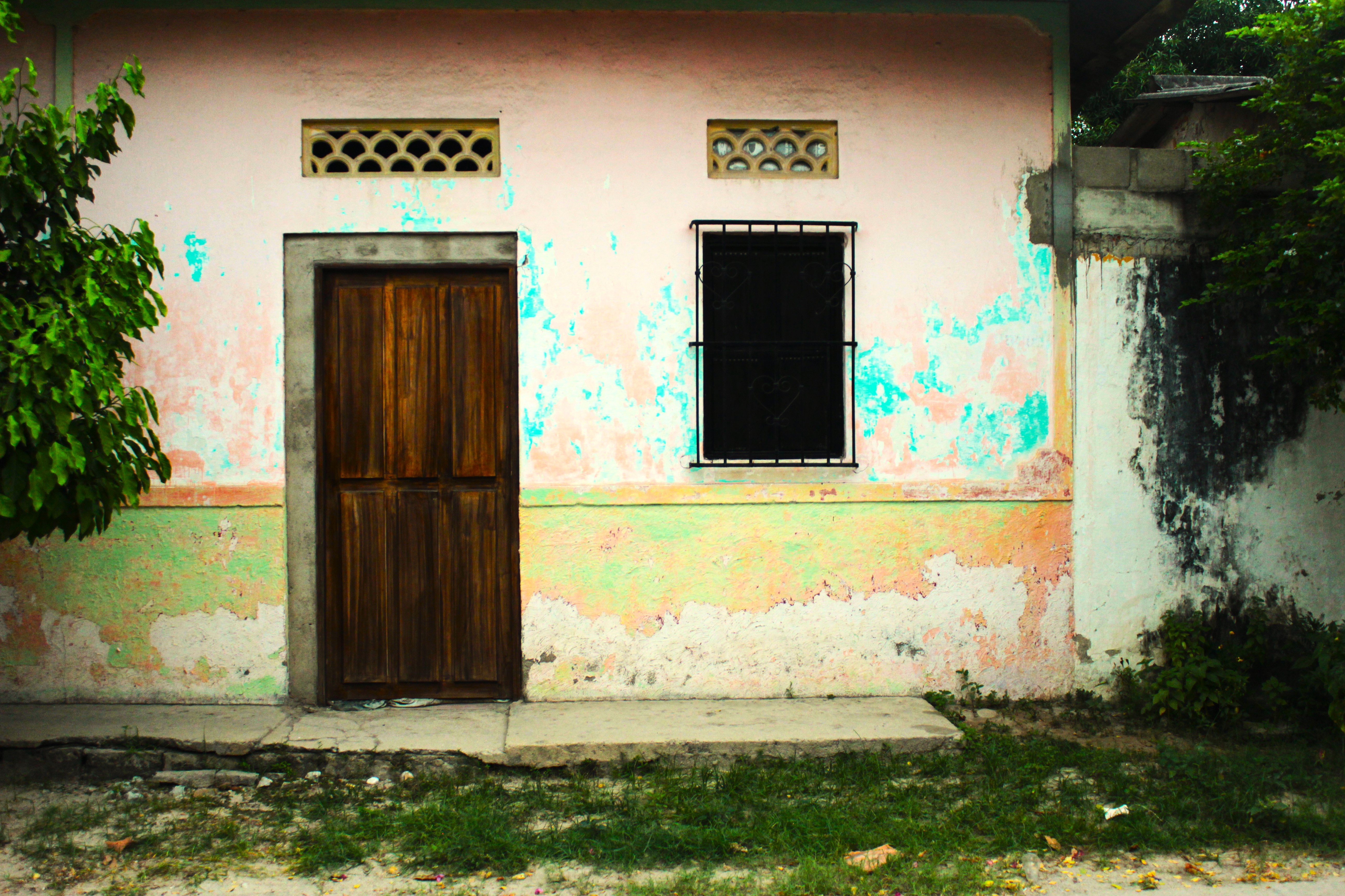 Por Leo Matiz vi llover en Macondo