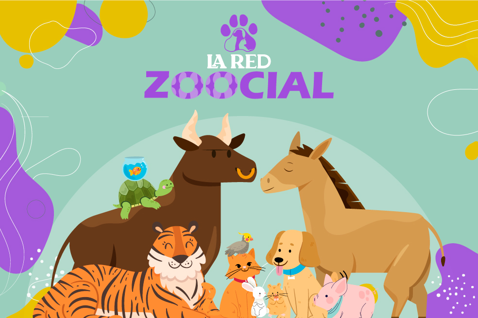 ¿Le gustan los gatos, perros y más animales? Siga La Red Zoocial de El Espectador
