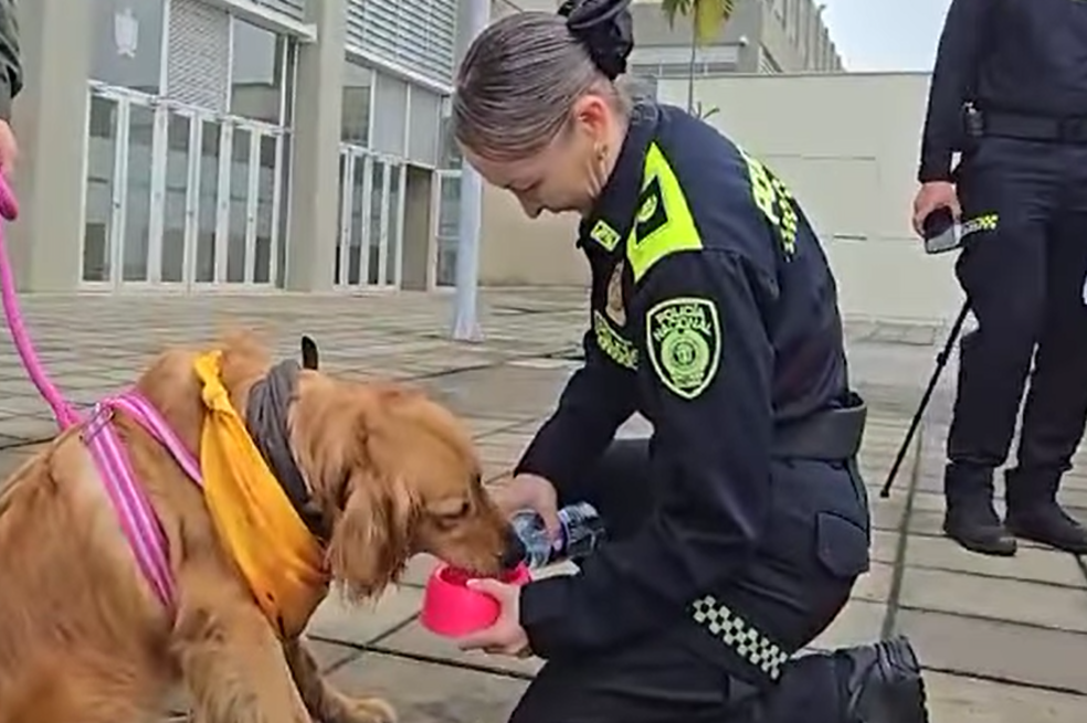 Reencuentro de perrita con su familia después de que su dueño fuera asesinado