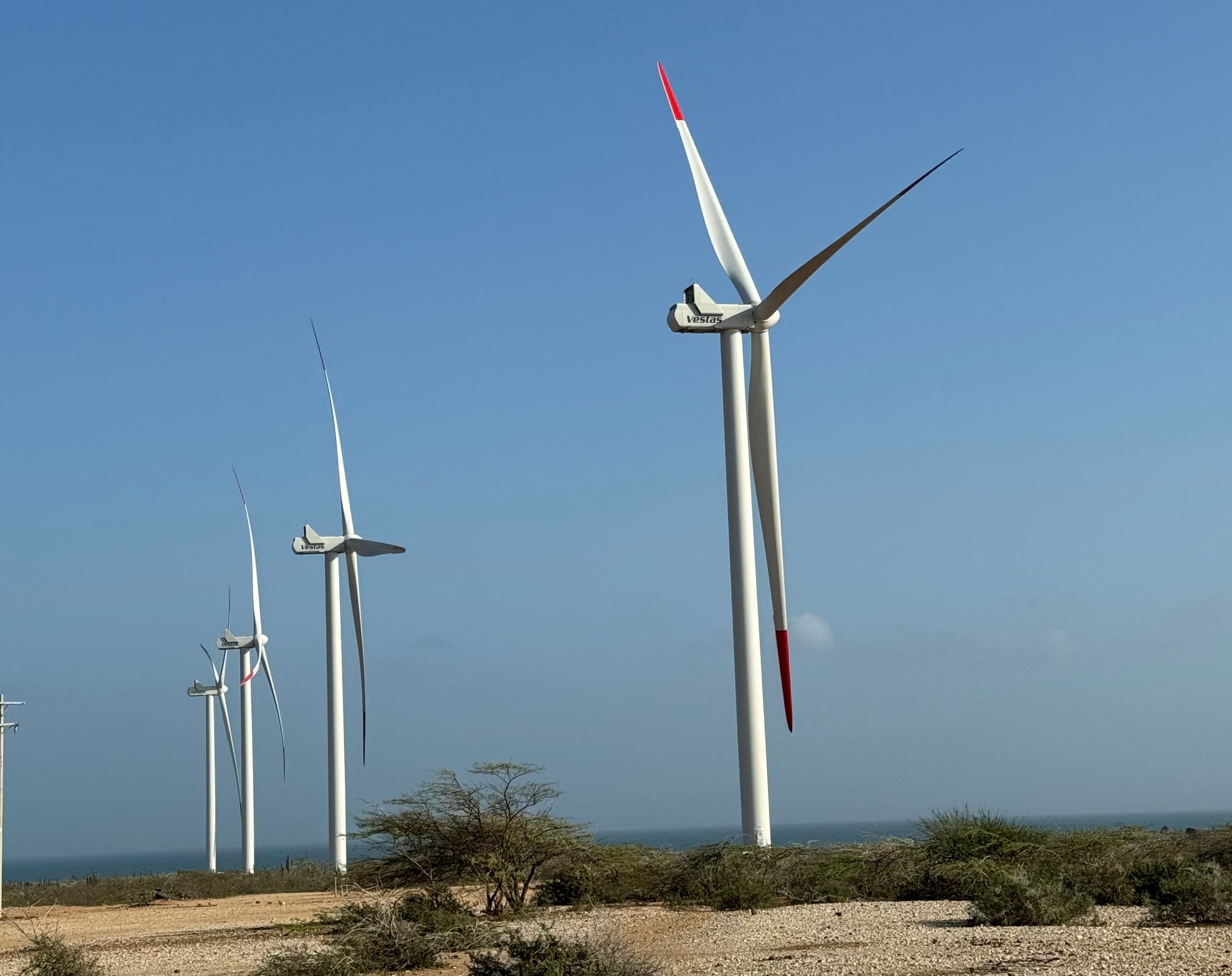 Gobierno busca licencias ambientales en menos tiempo para acelerar energías renovables