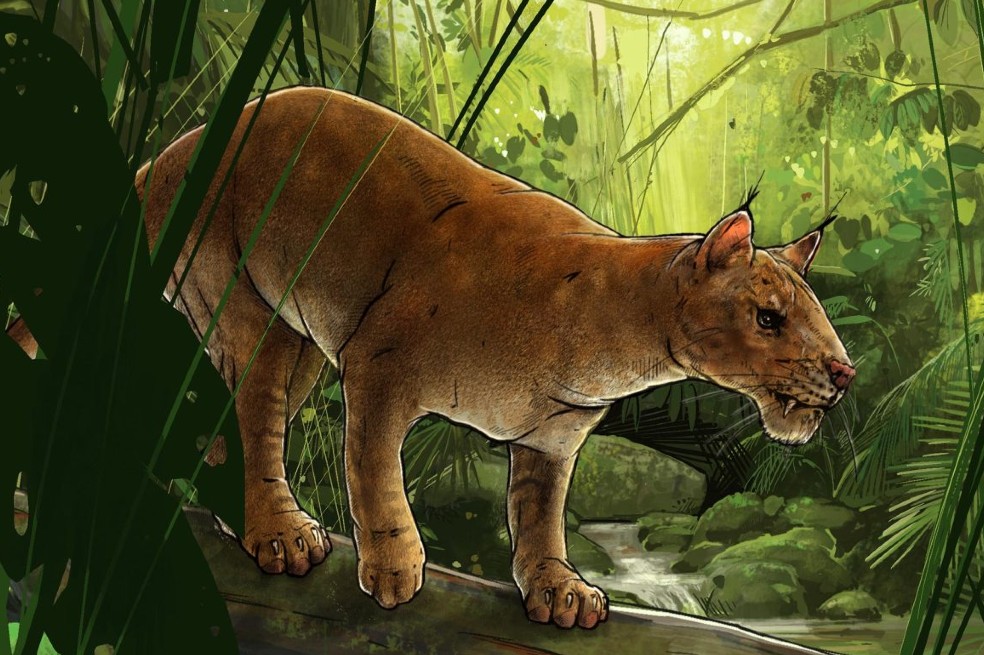 Encuentran fósil de un mamífero que daría pistas sobre la evolución de los carnívoros