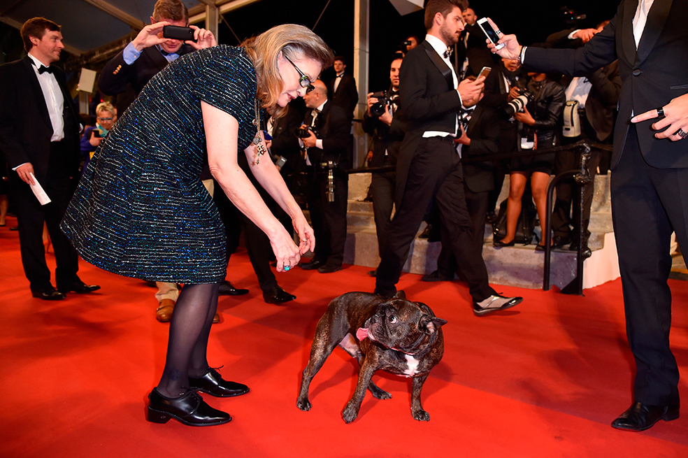 15 fotos para resumir el fin de semana en Cannes