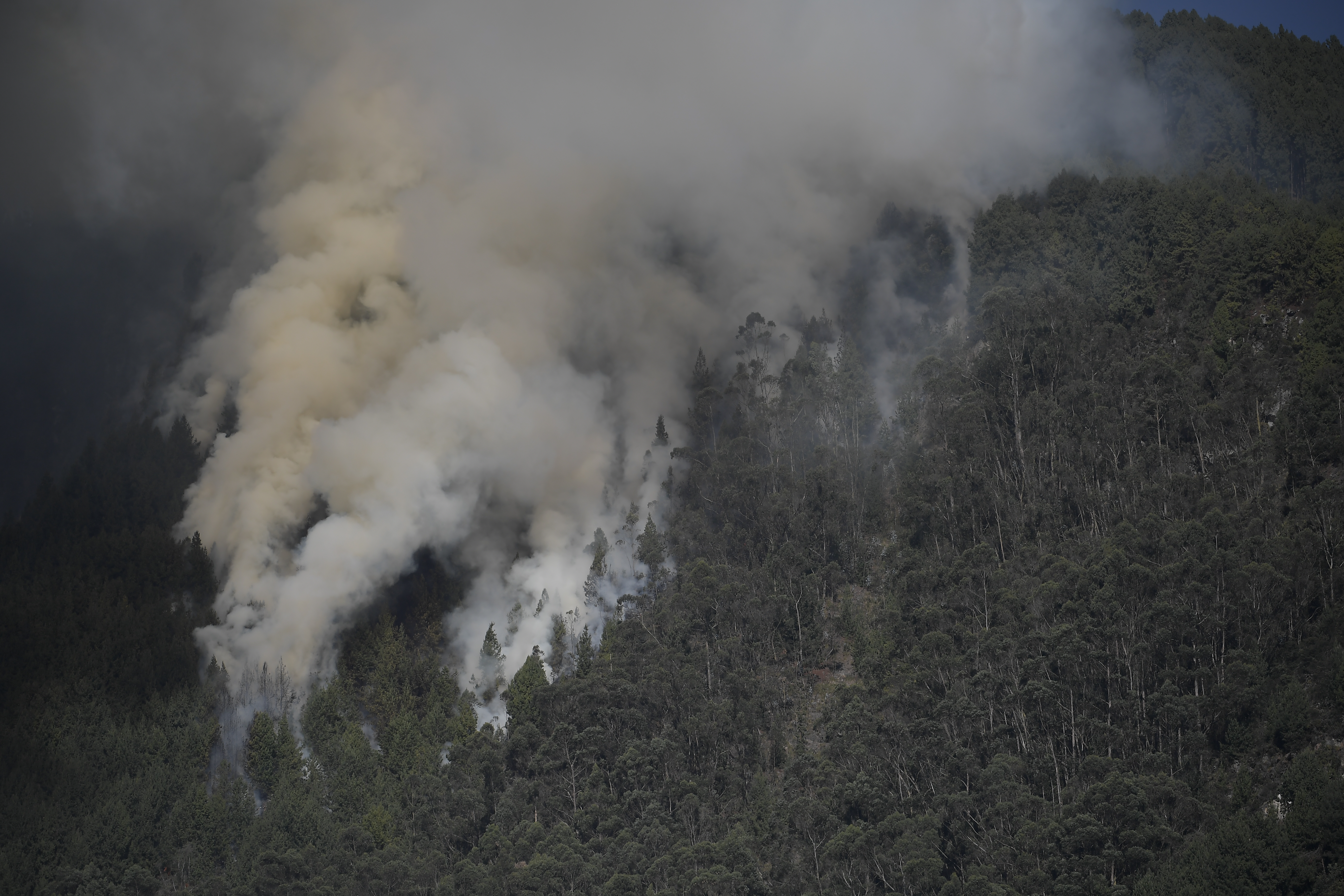 Galán pide más apoyo al Gobierno para atender incendios forestales en Bogotá
