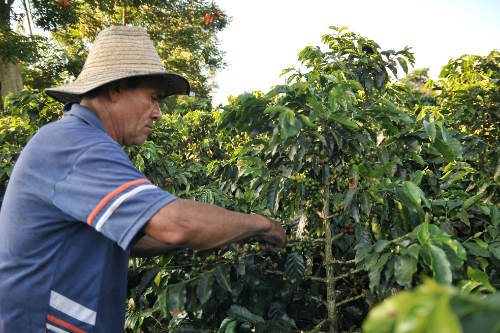 Así creció la economía colombiana en 2017