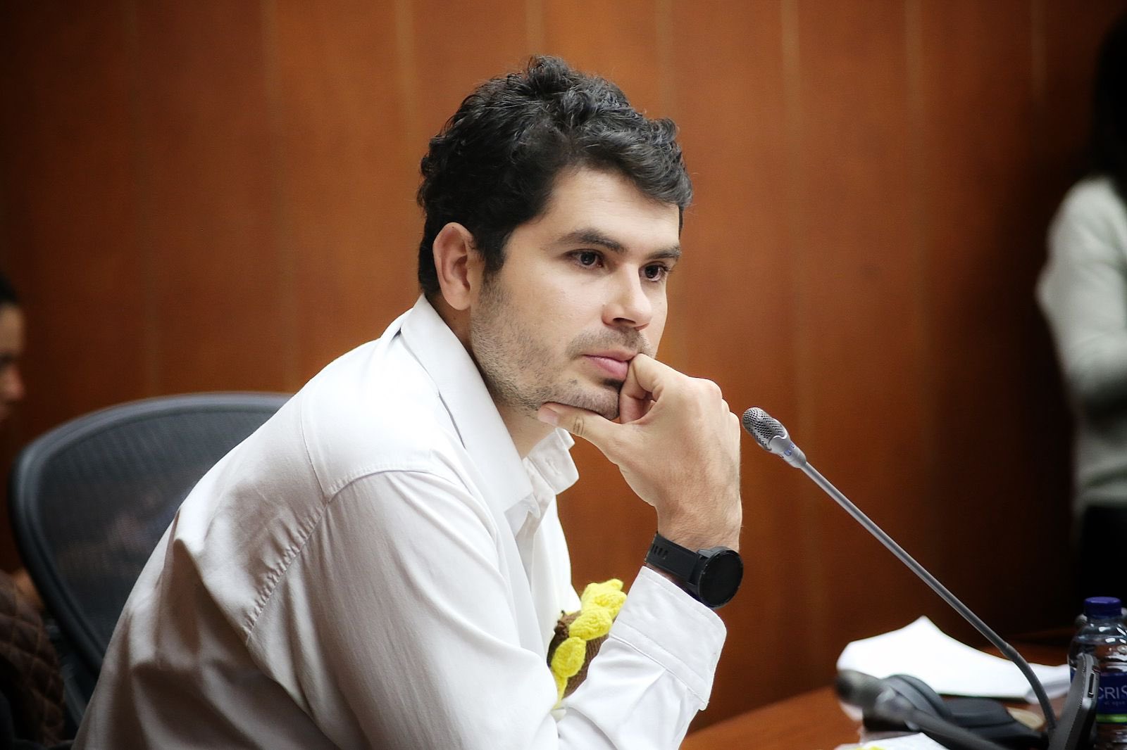Fabián Díaz, senador Alianza Verde.