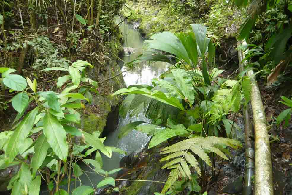 Nada que llega el agua a zona rural de Útica