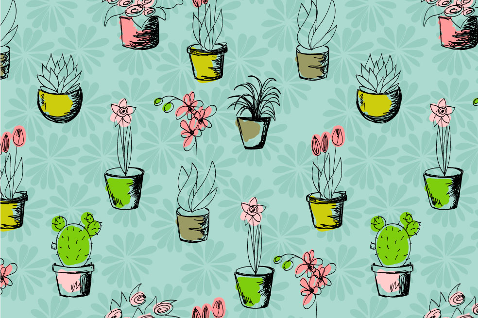 Cinco buenas ideas de plantas que lucirán bien en su mesa