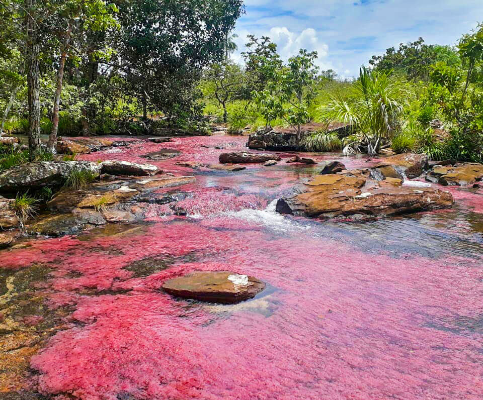Tranquilandia es el Caño Cristales de Guaviare.