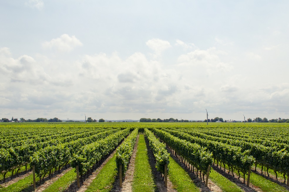 La agricultura está sobrepasando los límites de la Tierra