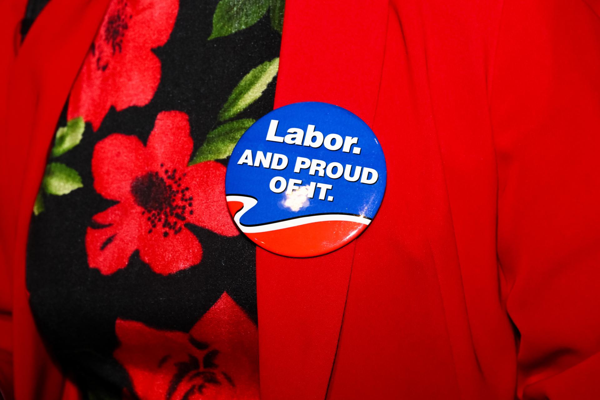 Elecciones en Australia: laboristas de Anthony Albanese ganaron las generales