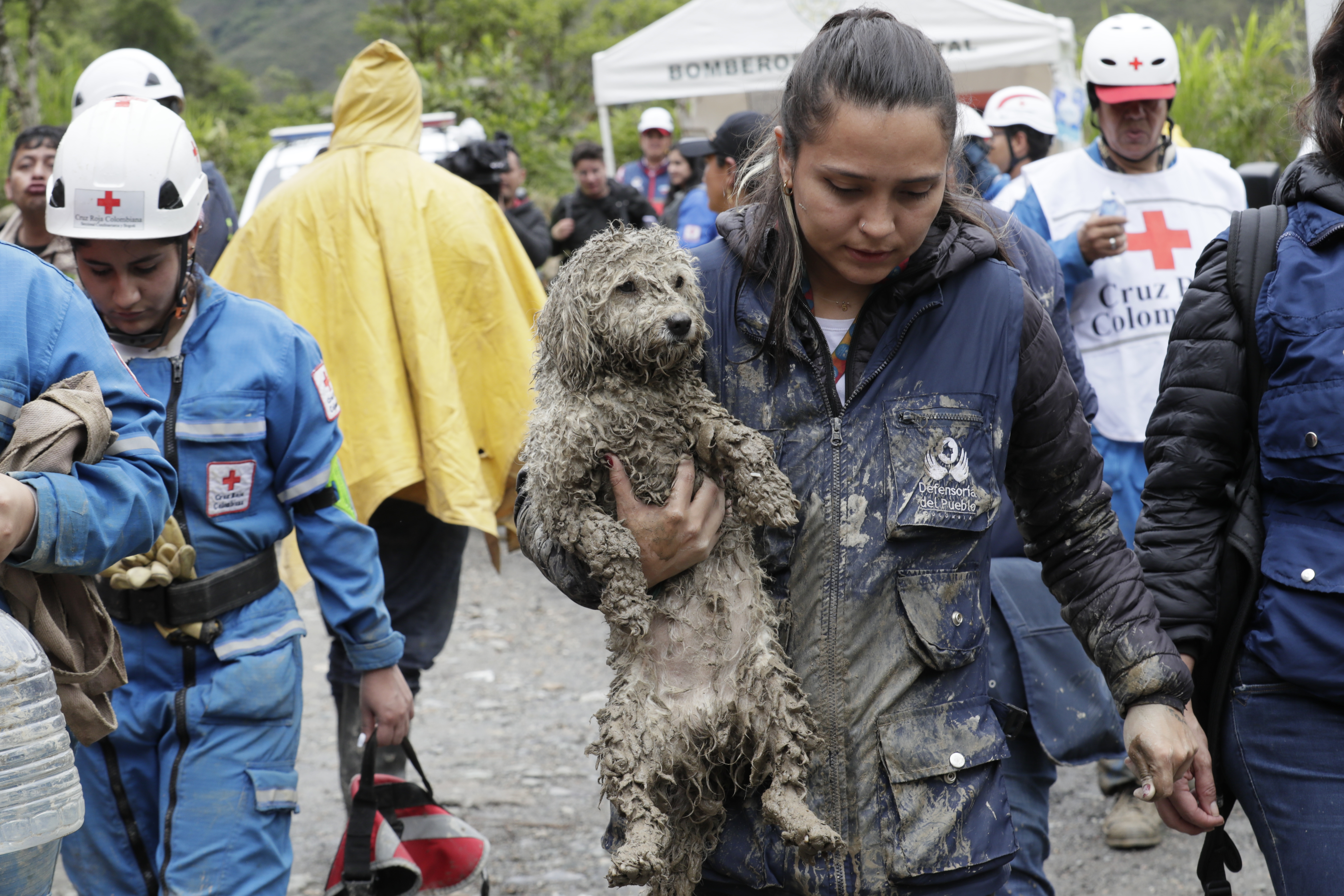 Avalancha en Quetame, Cundinamarca: ¿cómo actuar ante una emergencia con su mascota?