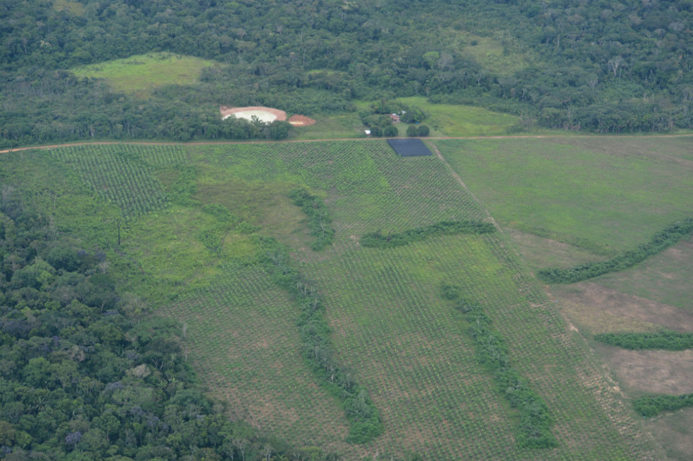 La deforestación entró a los territorios de los indígenas aislados