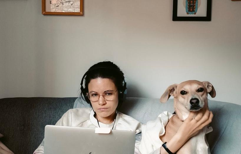 Día Mundial de llevar al perro al trabajo: historia, beneficios y recomendaciones