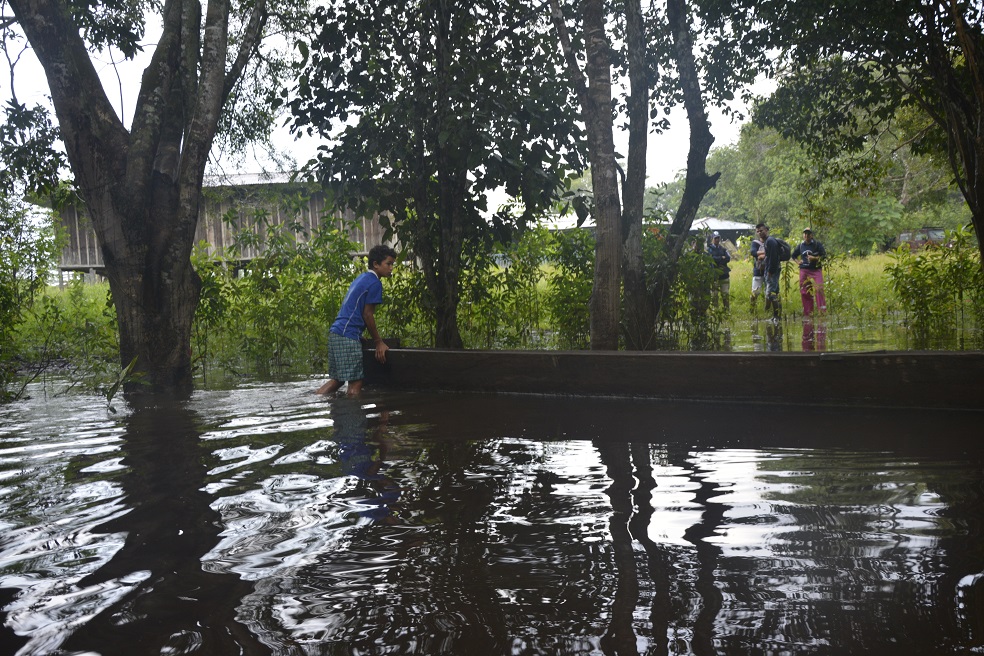 La travesía comienza en el río ItillaJohn MyersLa pajareada se vuelve fluvial mientras abordamos canoas y empezamos a navegar el bosque inundado del Rio Itilla. El agua tiene el color de un té oscuro y dentro de poco tiempo observo tres “lifers” (especies nuevas): un hermoso hermitaño rufo (Glaucis hirsutos) tratando de secarse un una rama; una pareja de paujiles culicastaños (Mitu tomentosum) que escuchamos antes de pillarlos con los binoculares, y un espléndido hormiguero de gargantilla (Hylophylax puntuales) brincando y cantándonos en estéreo con su pareja desde ambos lados del arborizado canal.