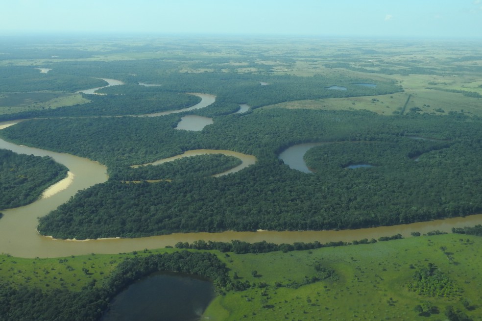 Con esta iniciativa se busca preservar los seis ecosistemas que se encuentran dentro de la serranía de Manacacías. / Edimer Hernández