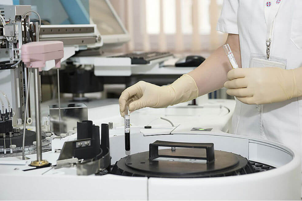 Así es Candida auris, el superhongo que tiene en alerta al mundo