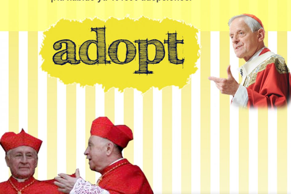 «Adopte un cardenal», exitosa campaña en internet