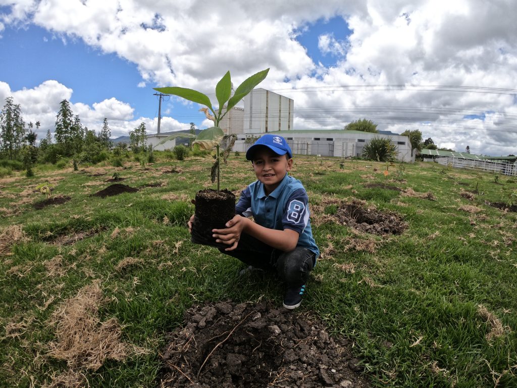 La sostenibilidad ambiental en la región de Sabana Centro en Cundinamarca