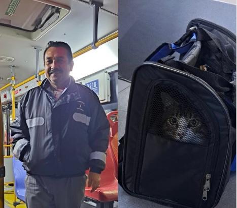 Gatito fue abandonado en un bus de Transmilenio y conductor lo adoptó