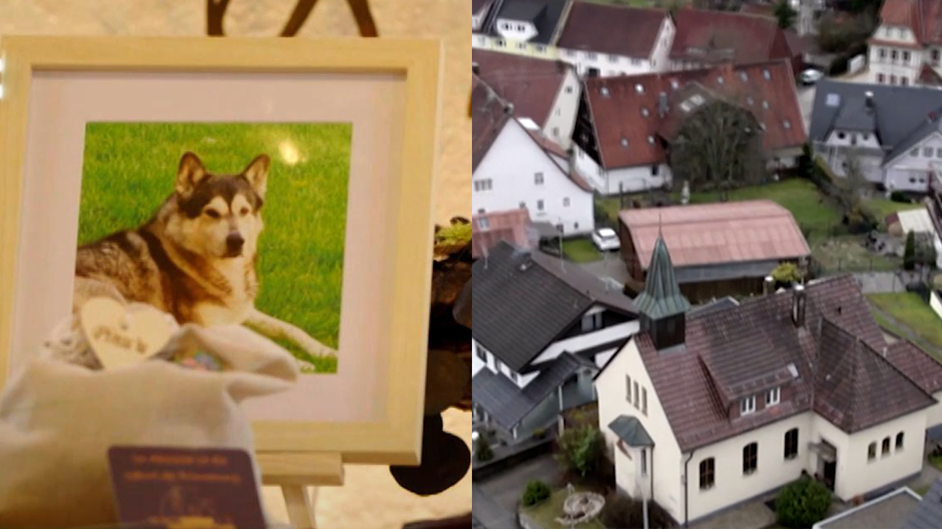 Alemania abre iglesia para despedir y velar mascotas tras su muerte