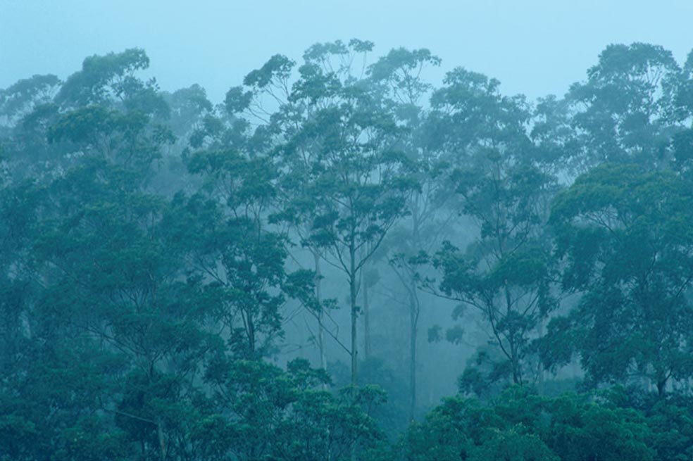 El doble efecto del CO2