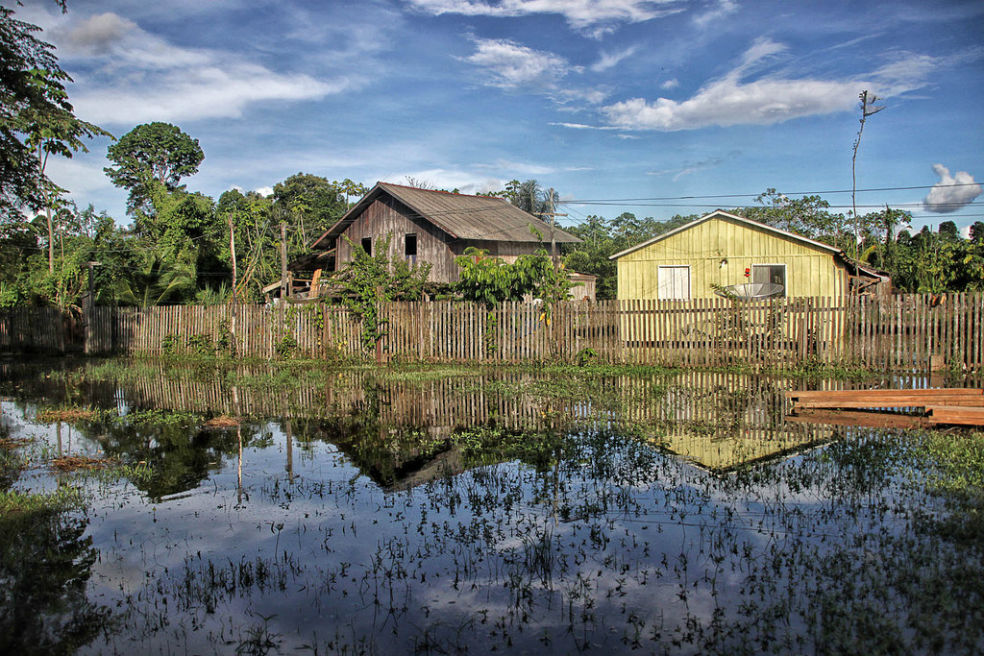 Brasil eliminó 11 nuevas áreas protegidas de la Amazonía
